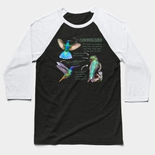 Animal facts - Hummingbird Baseball T-Shirt